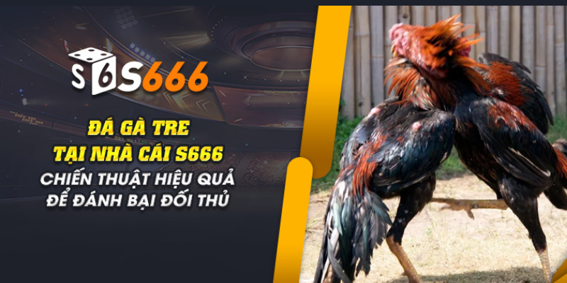 Sơ lược